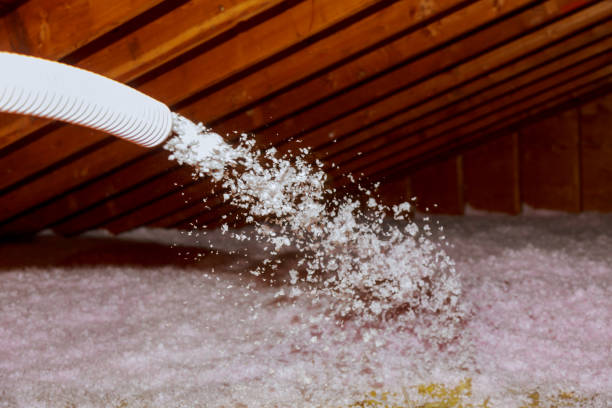 Best Insulation Maintenance and Repair in Brown City, MI