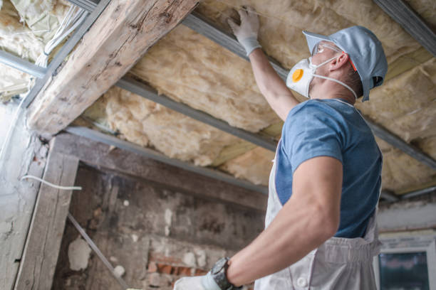 Best Spray Foam Insulation in Brown City, MI