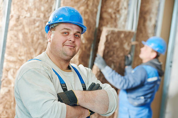 Best Fiberglass Insulation in Brown City, MI
